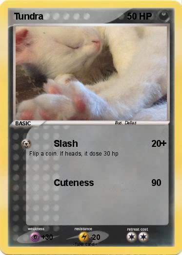 Pokemon Tundra