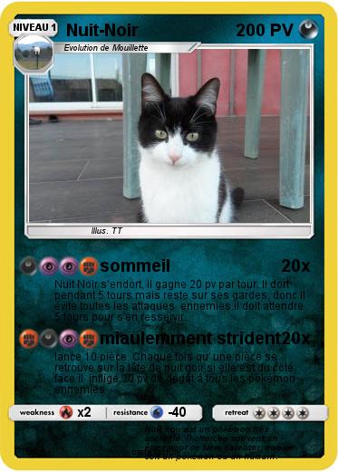 Pokemon Nuit-Noir