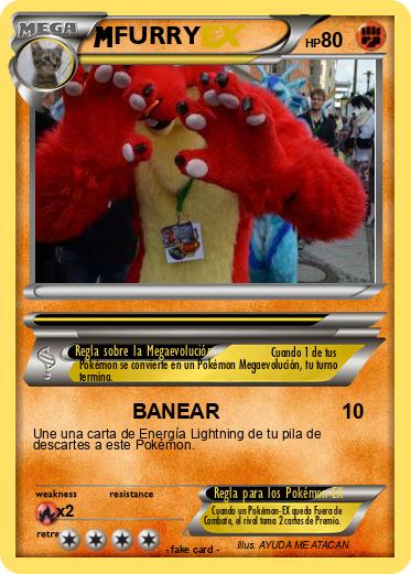 Pokemon FURRY