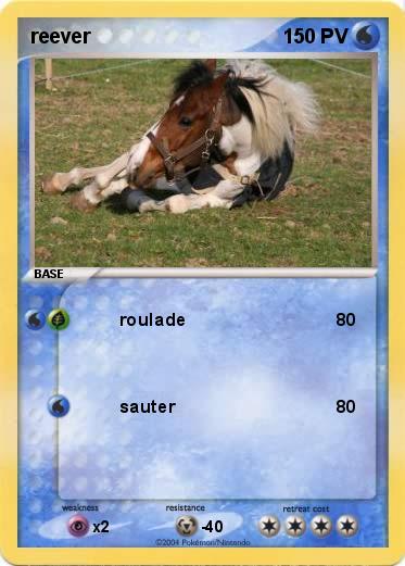 Pokemon reever 