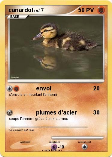 Pokemon canardot