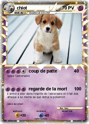 Pokemon chiot