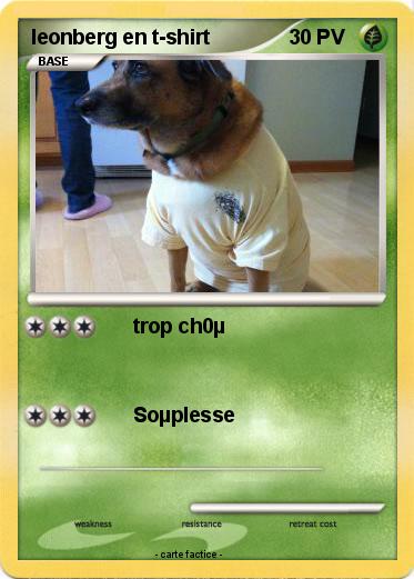 Pokemon leonberg en t-shirt