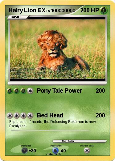 Pokemon Hairy Lion EX