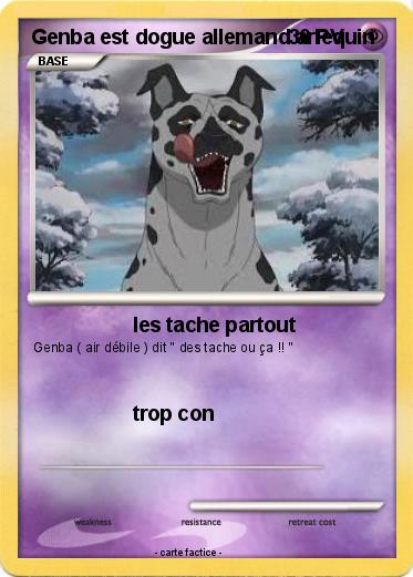 Pokemon Genba est dogue allemand arlequin