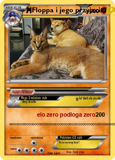 Pokemon Floppa i jego przyjaciel