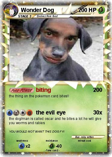 Pokemon Wonder Dog