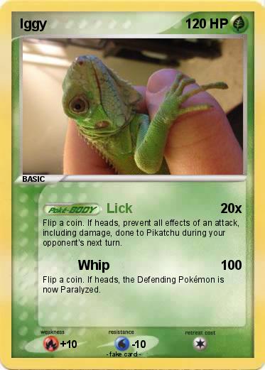 Pokemon Iggy