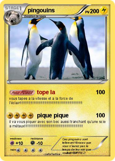 Pokemon pingouins