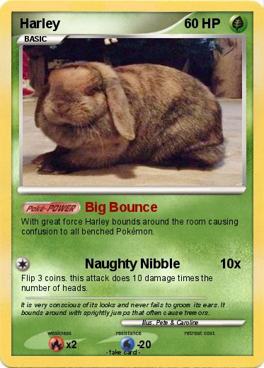 Pokemon Harley