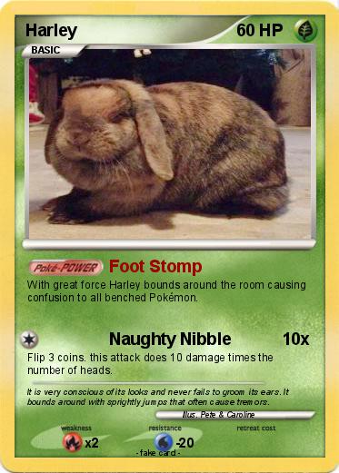 Pokemon Harley