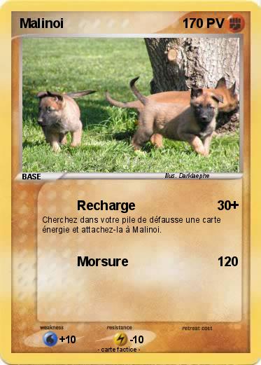 Pokemon Malinoi