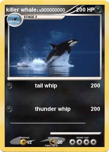 Pokemon killer whale