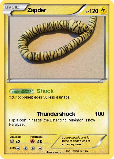 Pokemon Zapder