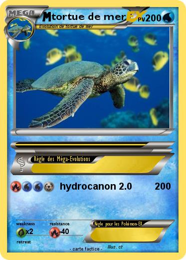 Pokemon tortue de mer