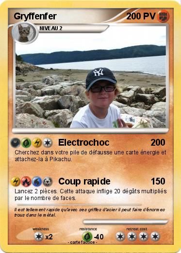 Pokemon Gryffenfer
