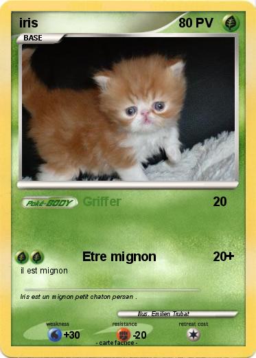Pokemon iris