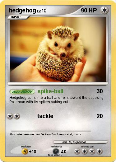 Pokemon hedgehog