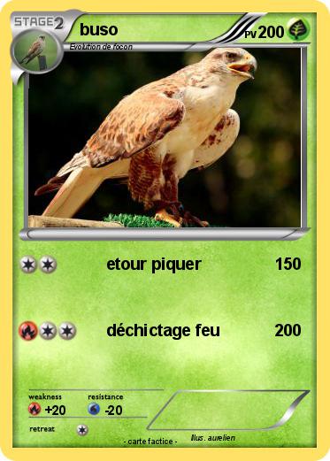 Pokemon buso