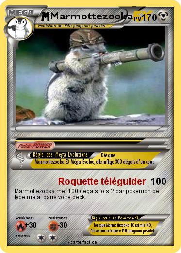 Pokemon Marmottezooka