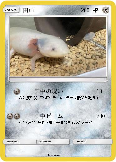 Pokemon 田中