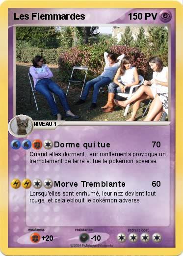 Pokemon Les Flemmardes