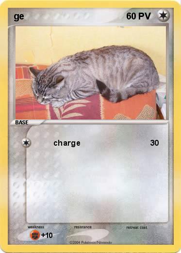 Pokemon ge