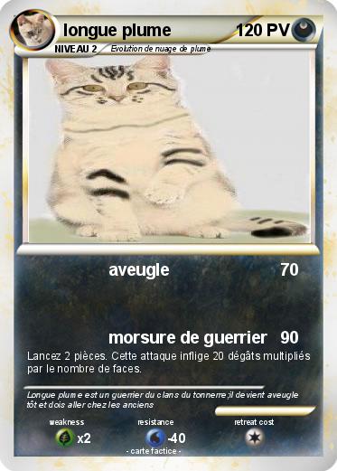 Pokemon longue plume
