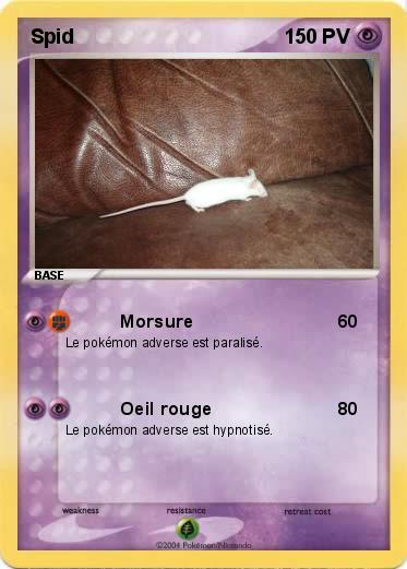 Pokemon Spid