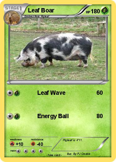 Pokemon Leaf Boar