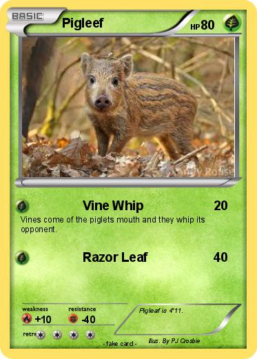 Pokemon Pigleef