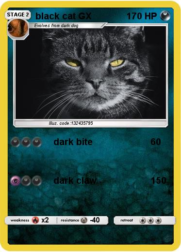 Pokemon black cat GX