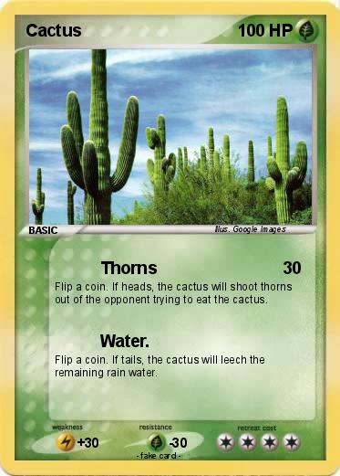 Pokemon Cactus
