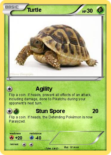 Pokemon Turtle