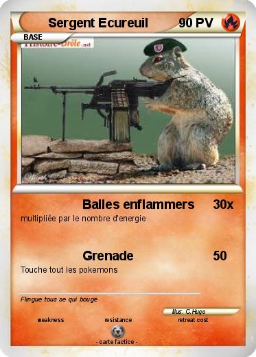 Pokemon Sergent Ecureuil