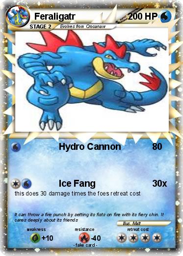 Pokemon Feraligatr