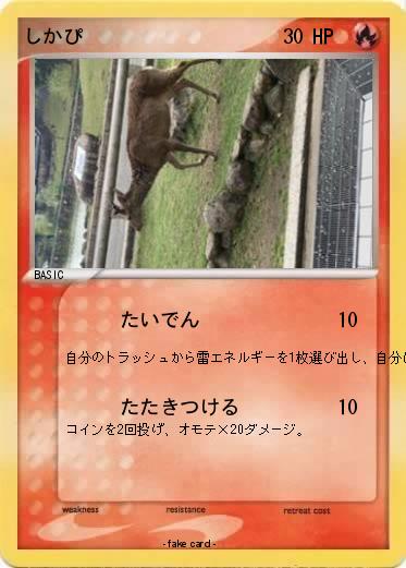 Pokemon しかぴ