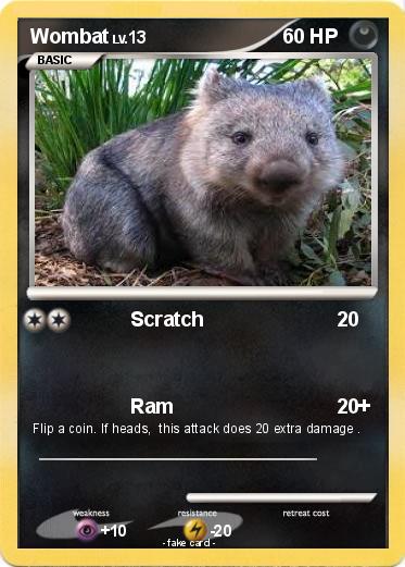 Pokemon Wombat