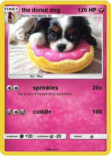 Pokemon the donut dog