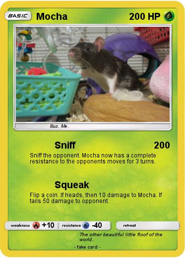 Pokemon Mocha