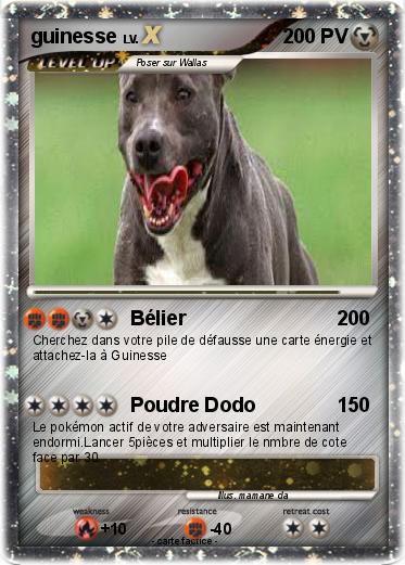 Pokemon guinesse