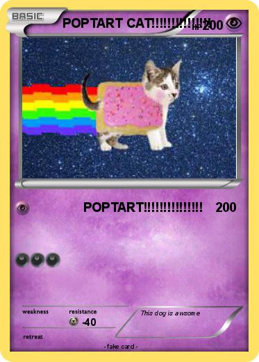 Pokemon POPTART CAT!!!!!!!!!!!!!!!