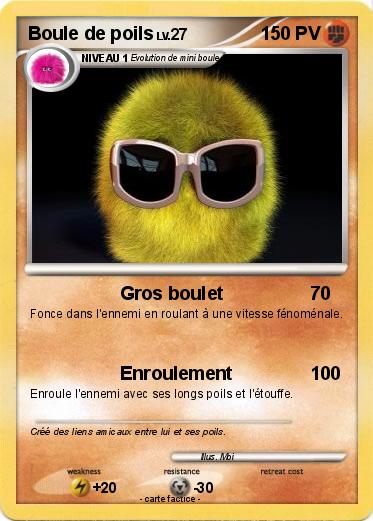 Pokemon Boule de poils