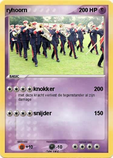 Pokemon ryhoorn