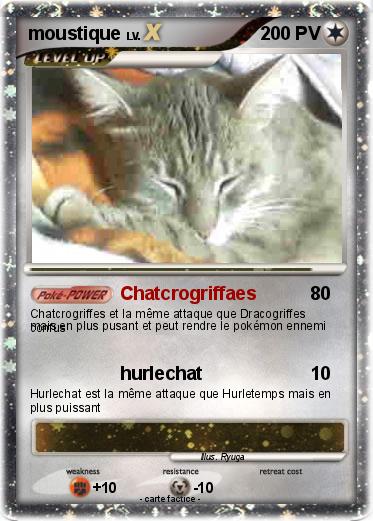 Pokemon moustique