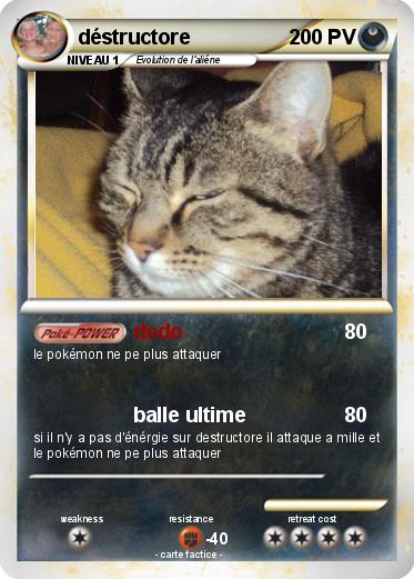 Pokemon déstructore