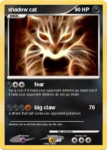 Pokemon shadow cat