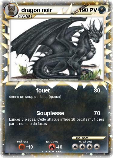 Pokemon dragon noir