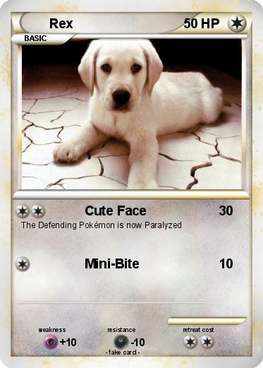 Pokemon Rex