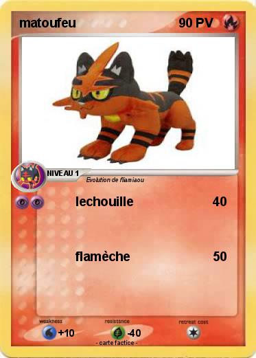 Pokemon matoufeu
